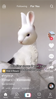 为教师准备的 30 多个随时可用的 TikTok 课程创意 - 完整课堂指南